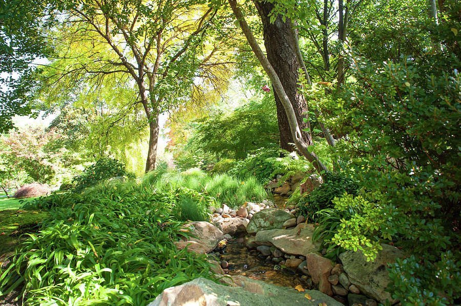 Secret Heaven. Japanese Garden Photograph by Jenny Rainbow