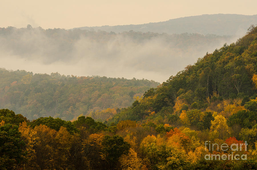Secret of the Autumn Hills - Misty New England Forest Photograph by JG Coleman