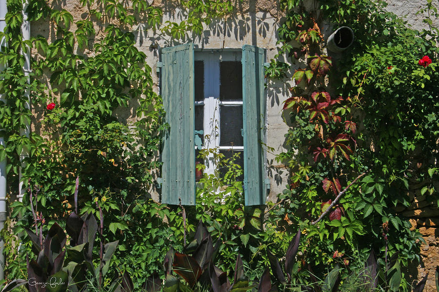 Secret Window Photograph by Georgia Clare