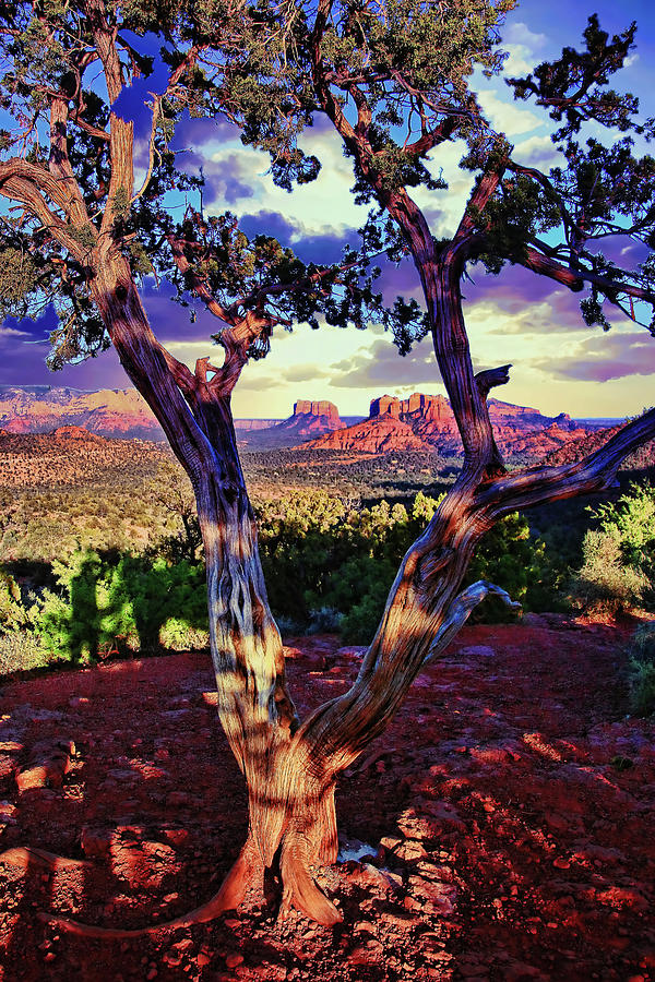 Sedona # 48 - Courthouse and Cathedral Rocks Photograph by Allen Beatty