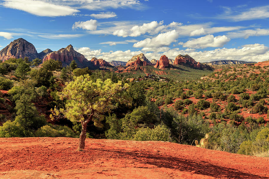 Sedona Afternoon Photograph by James Eddy