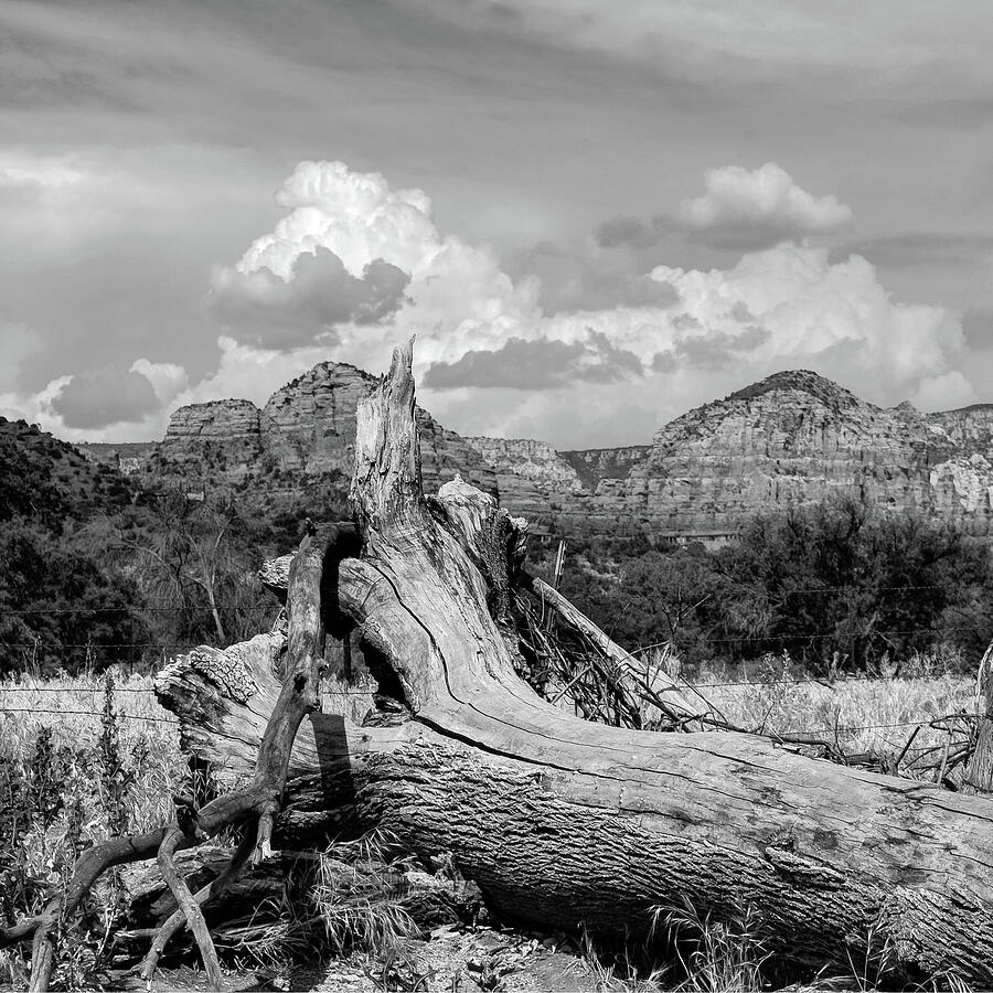 Sedona Arizona Western Landscape 1x1 Black and White Photograph by Gregory Ballos