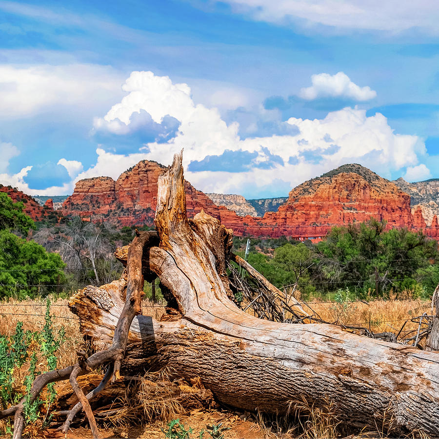 Mountain Photograph - Sedona Arizona Western Landscape 1x1 by Gregory Ballos