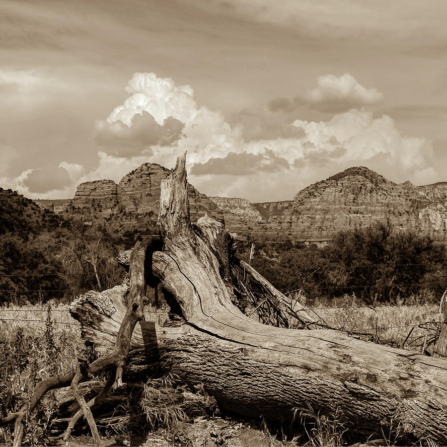 Mountain Photograph - Sedona Arizona Western Landscape 1x1 Sepia by Gregory Ballos