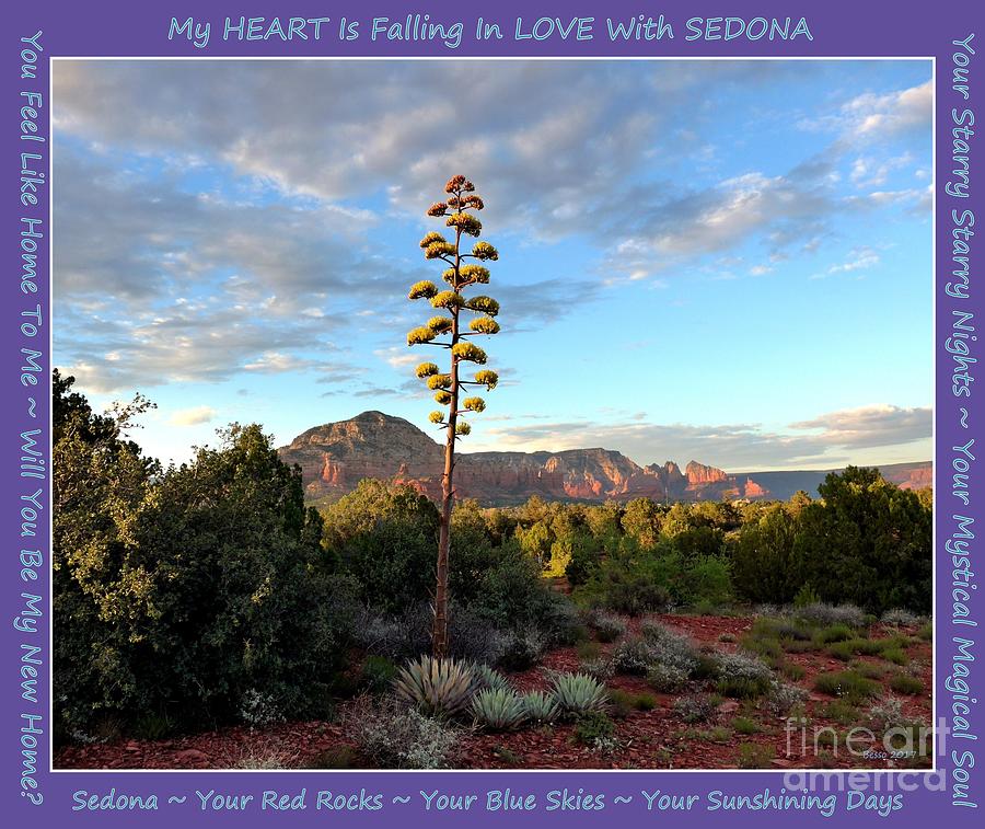 Sedona Century Plant Sedona lyrics 16x20 Photograph by Mars Besso