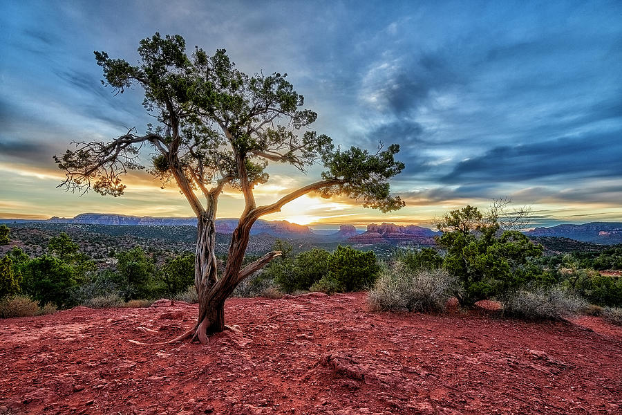 Decor Photograph - Sedona In The Morning by Jon Glaser Decor Photograph - Sedona In The Morning by Jon Glaser