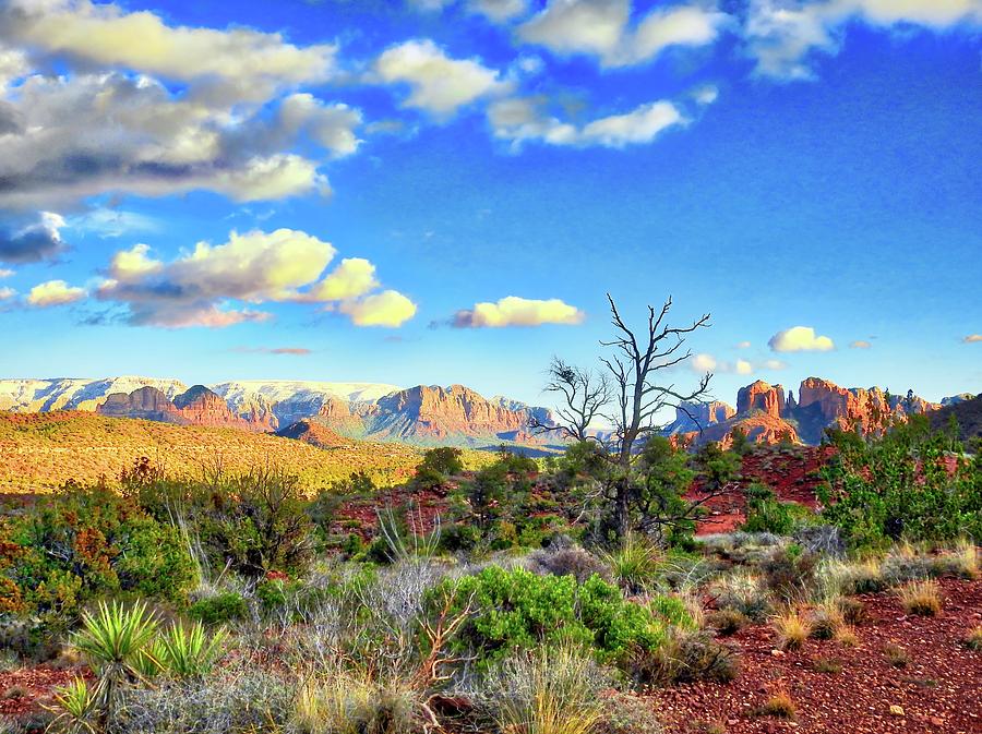 Sedona Land Photograph by Ches Black
