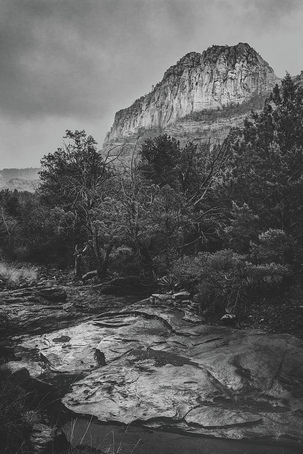 Sedona Red Rock Photograph by Joseph Smith