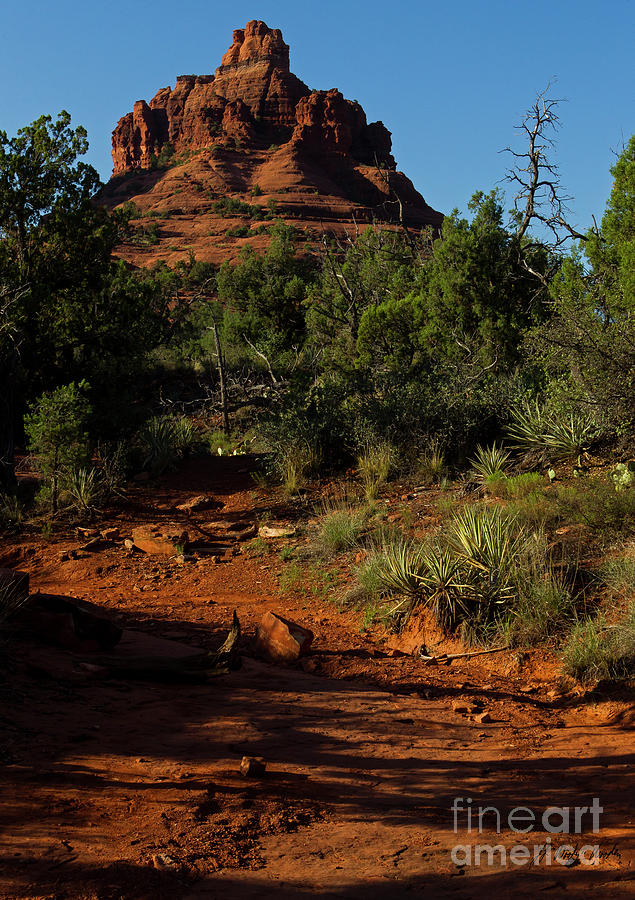Sedona Red Rock-Signed-#5691 Photograph by J L Woody Wooden