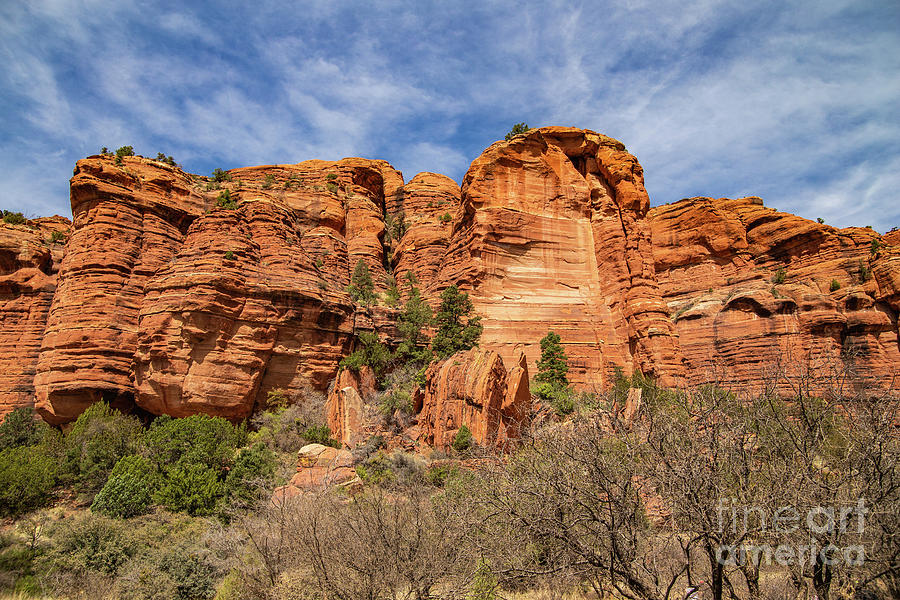 Sedona Red Rocks Photograph by Randy Jackson