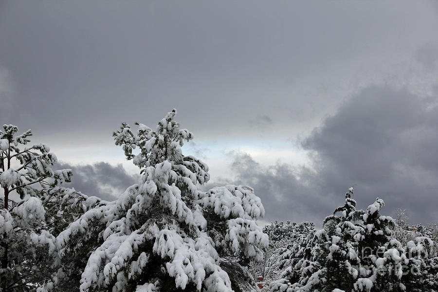 Sedona Skyline in Winter by David Frederick Sedona Skyline in Winter by David Frederick