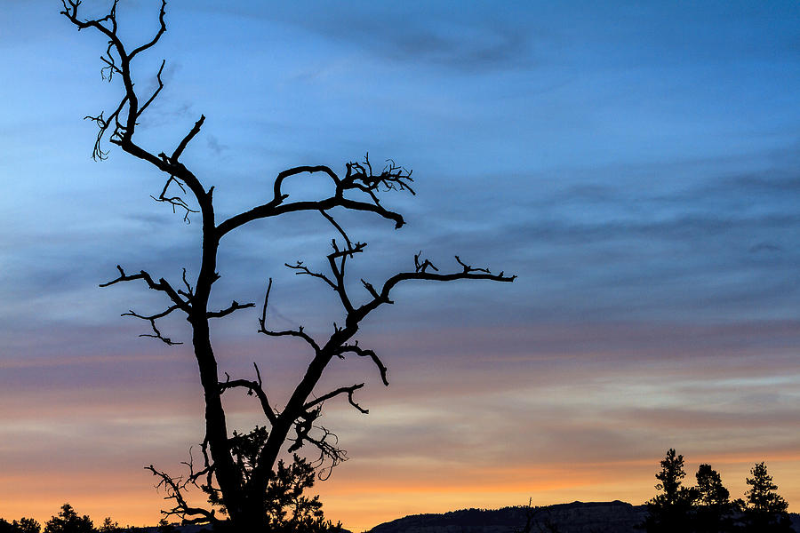 Sedona Sunset Photograph by Ben Graham