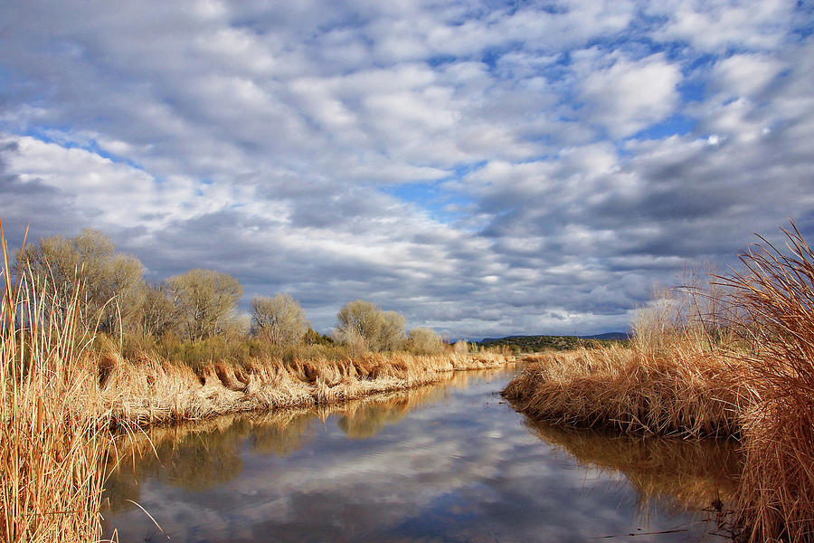Sedona Wetlands Photograph by Leda Robertson