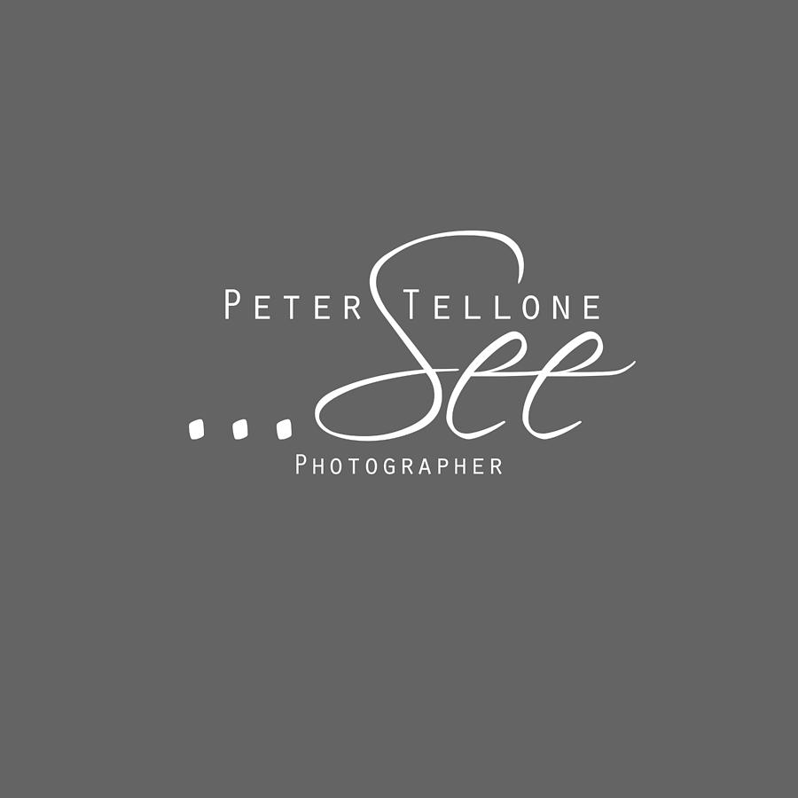See - Peter Tellone Photographer Digital Art by Peter Tellone