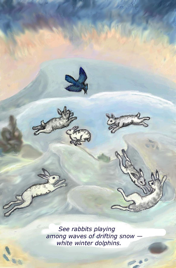 See Rabbits Playing haiku and illustration Drawing by Dawn Senior