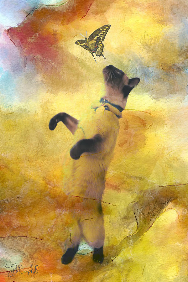 See The Cat And Butterfly Digital Art by Theresa Campbell