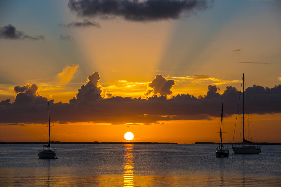 Rays of Sunshine Photograph by Kevin Cable