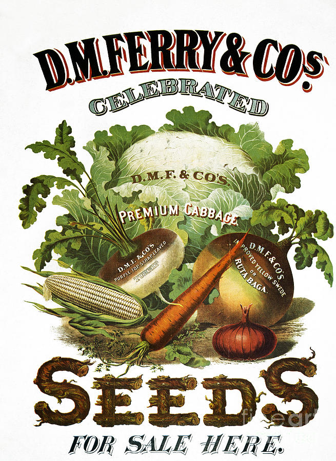 SEED COMPANY POSTER, c1800 Photograph by Granger