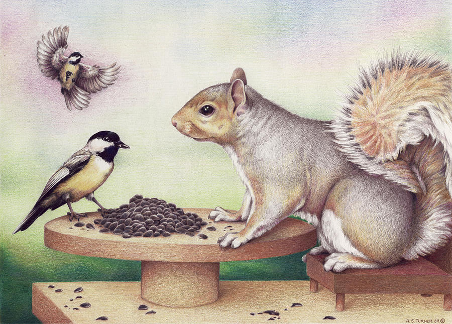 Chickadee Drawing - Seed For Two by Amy S Turner