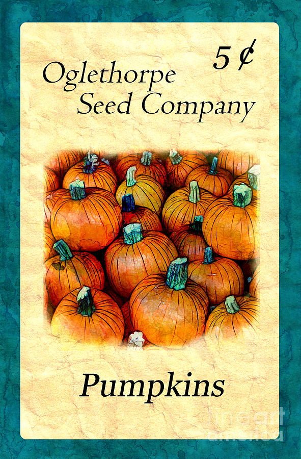 Seed Packet -- Pumpkins Photograph by Judi Bagwell