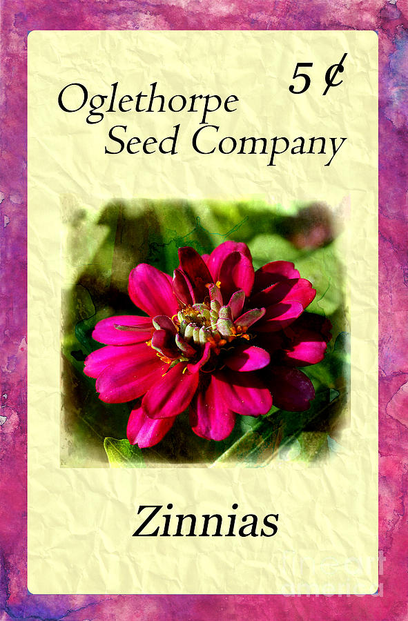 Seed Packet -- Zinnias Photograph by Judi Bagwell