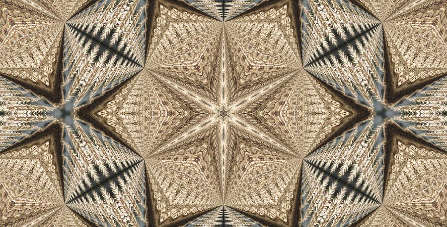 Kaleidoscope Photograph - Seeded Berber Star by M E Cieplinski