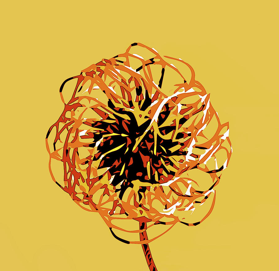 Seedhead by Mary Castellan Seedhead by Mary Castellan