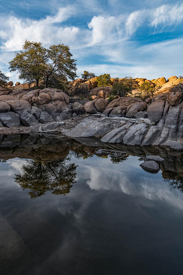 Seeing Double Photograph by Brian Oakley Photography - Fine Art America