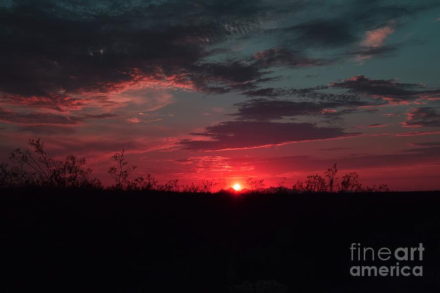 Nature Photograph - Seeing Red at Sunset by Janet Marie