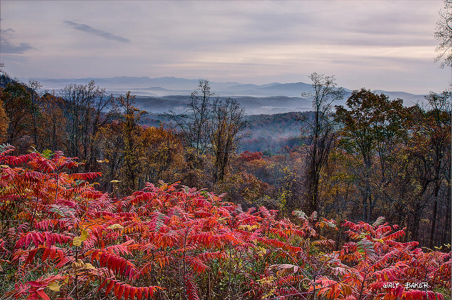 Seeing Red on the Blue Ridge Photograph by Walt  Baker