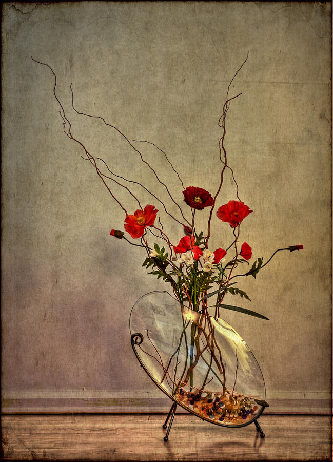 Poppy Photograph - Seeking Harmony by Evelina Kremsdorf