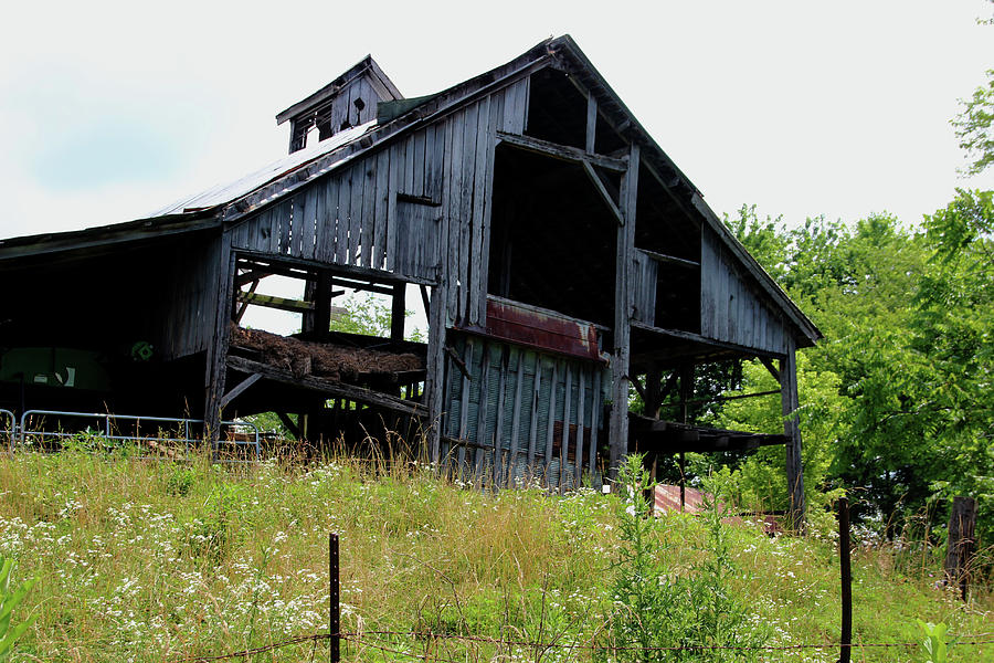 Seen Better Days Photograph by Karen Harris - Fine Art America