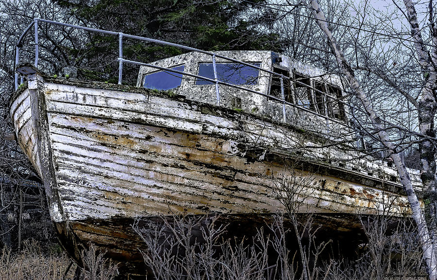 Seen Better Days Photograph by Marty Saccone