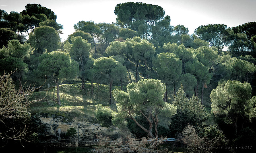Segovia Hillside Photograph by Henri Irizarri