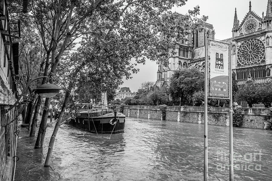 Seine River Flooding at Notre Dame Photograph by Liesl Walsh