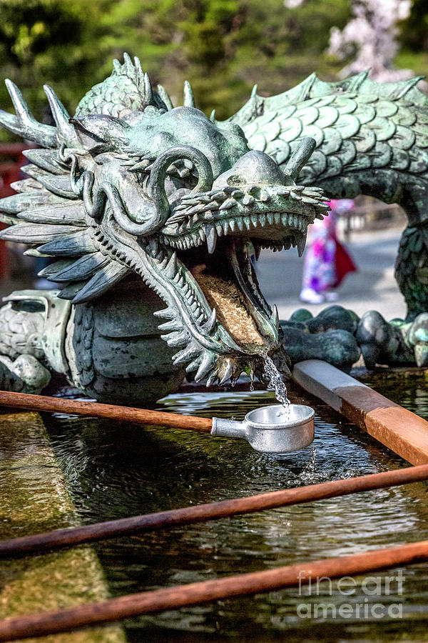 Seiryu Dragon Fountain Photograph by Karen Jorstad