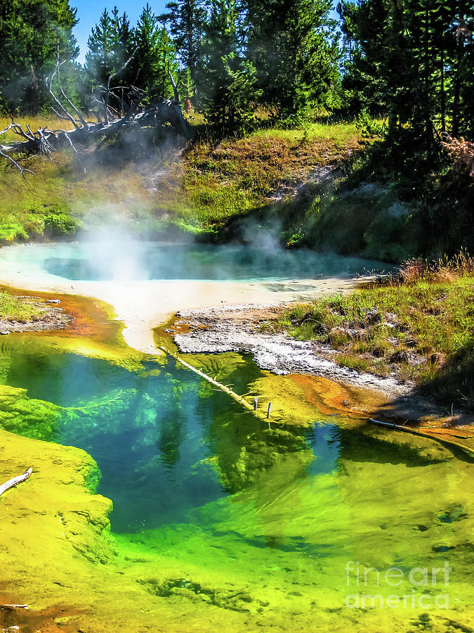 Seismograph Pool in Yellowstone Photograph by Benny Marty