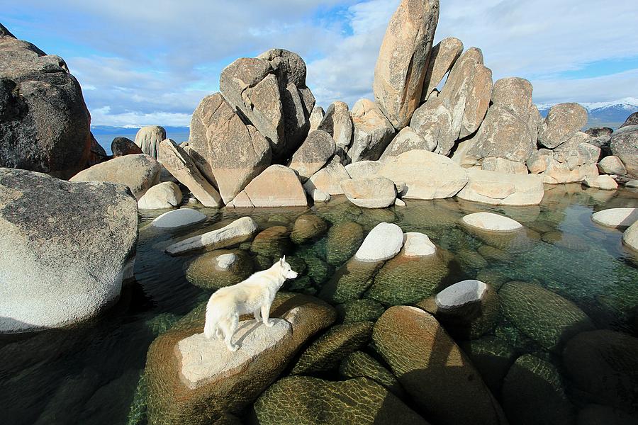 Sekani Rocks  Photograph by Sean Sarsfield
