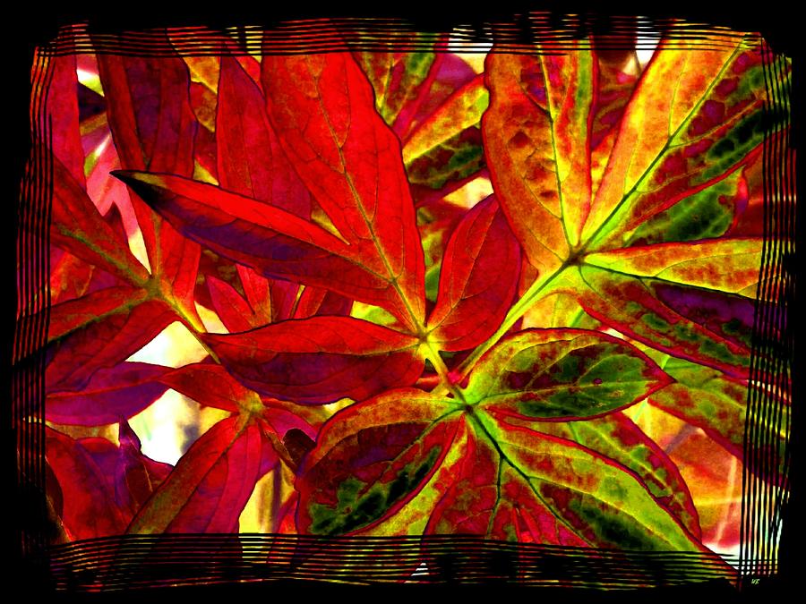 Select Peony Leaves Digital Art by Will Borden