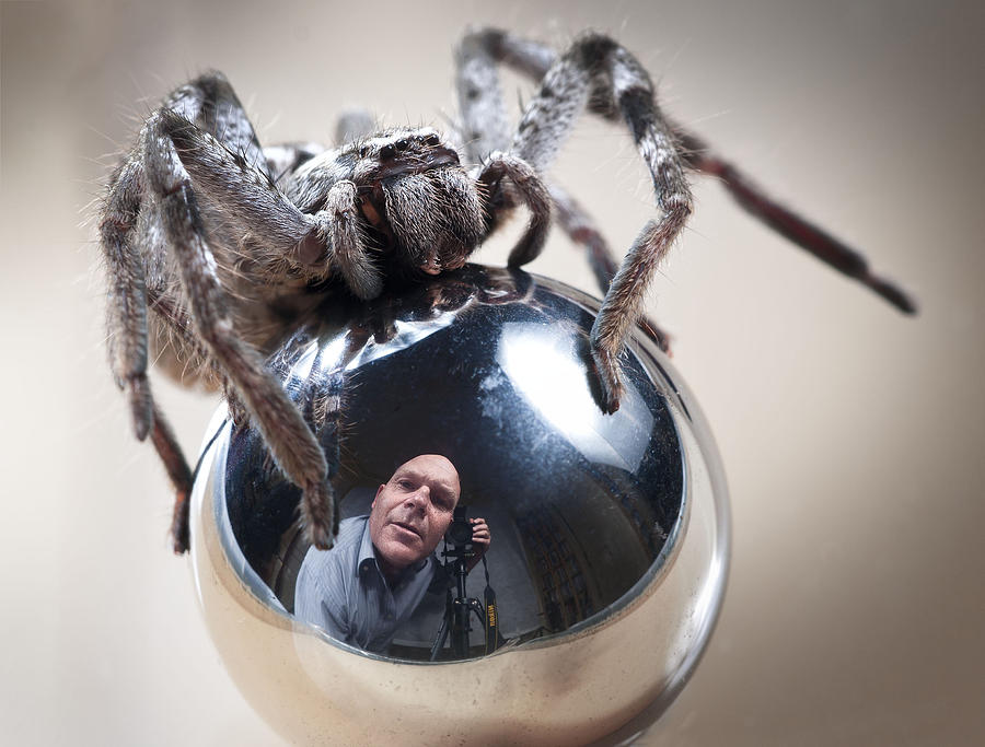 Spider Photograph - Self-portrait With Spider by Tim Millar