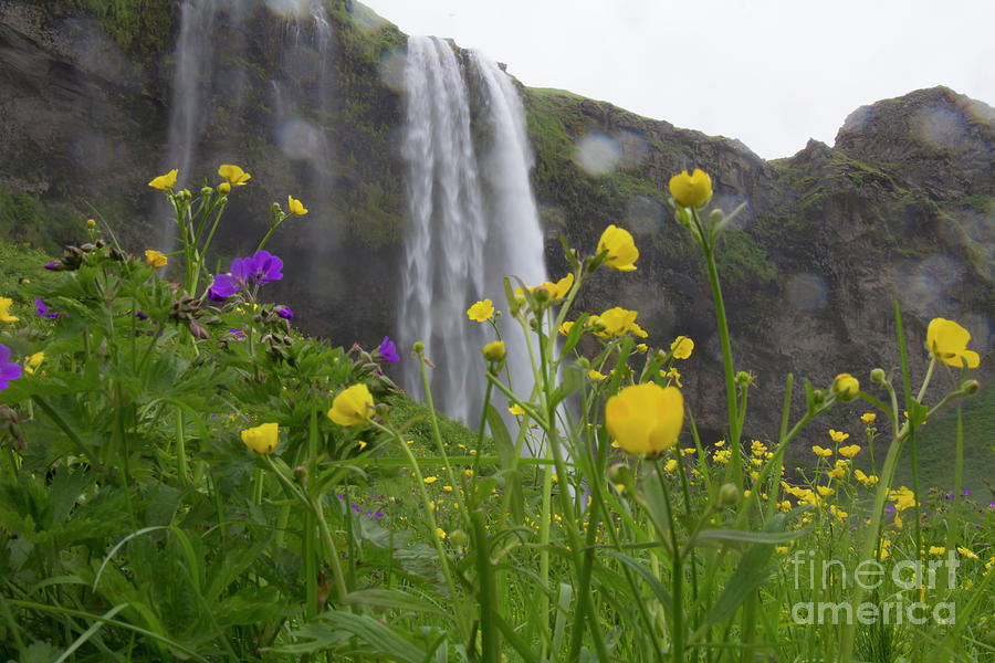 Seljalandsfoss waterfall Photograph by Agnes Caruso
