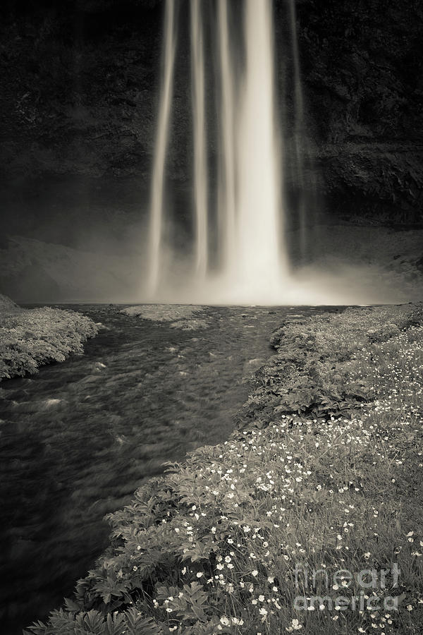 Nature Photograph - Seljalandsfoss Waterfall Iceland by Edward Fielding