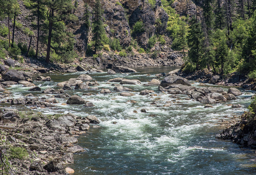 Selway River, Ladle Rapid Photograph by Link Jackson - Fine Art America