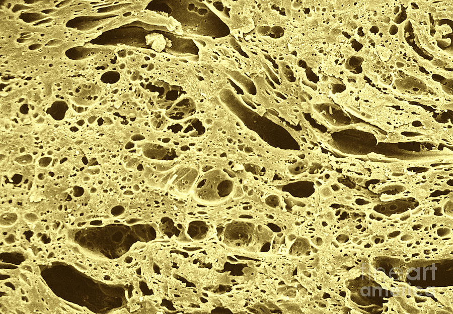 Sem Of Cheese On Pizza Photograph by Scimat