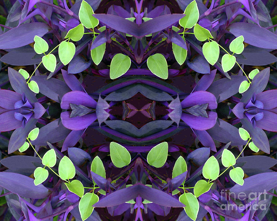Semi-abstract of Purple Foliage Photograph by Linda Phelps