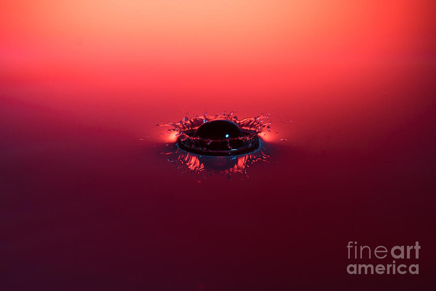 Ball Photograph - Semi Submerged Droplet by Marc Daly