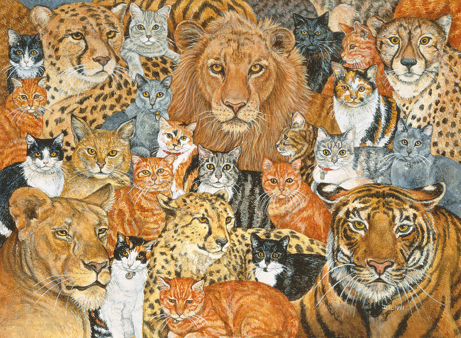Cat Painting - Semi Wild Cat Spread by Ditz