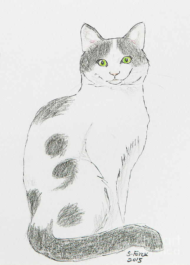Semicolon cat Drawing by Stefanie Forck