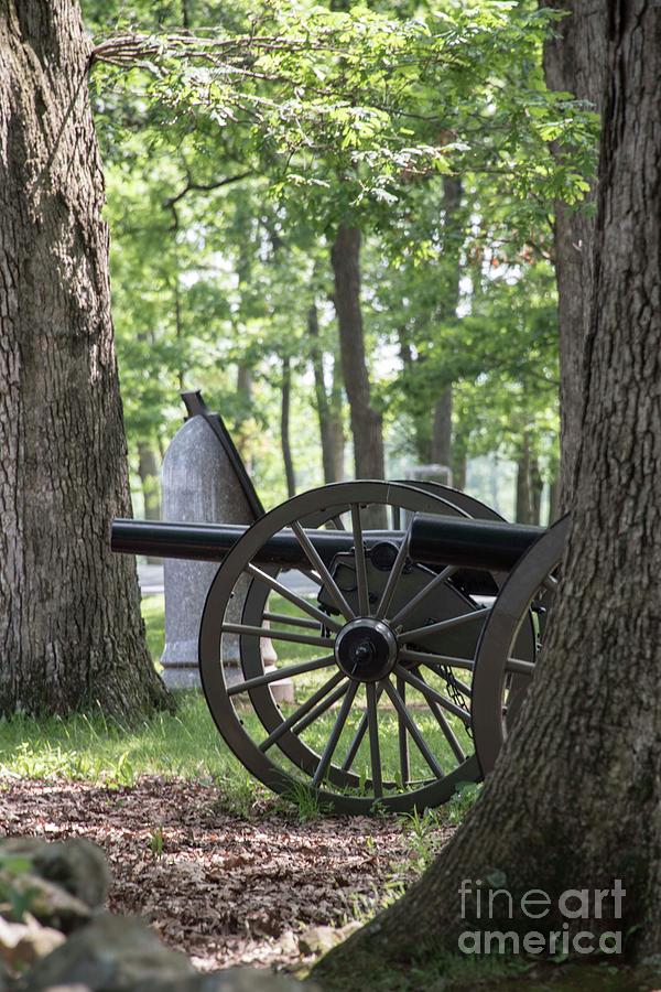 Seminary Ridge Cannons Photograph by David Bearden