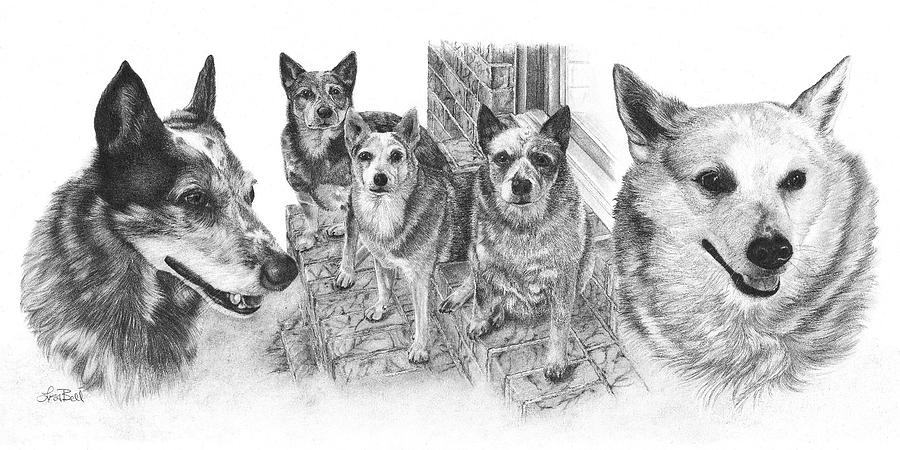 Semper Fidelis Drawing by Lisa Bell Pixels Semper Fidelis Drawing by Lisa Bell Pixels